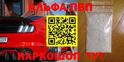 индика Кингисепп
