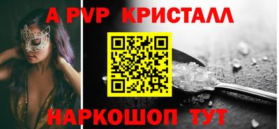 индика Кингисепп