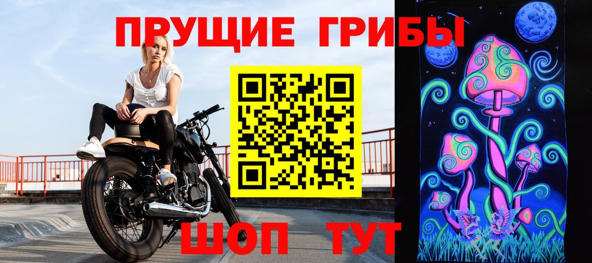 Галлюциногенные грибы MAGIC MUSHROOMS  Псилоцибиновые грибы Psilocybe  Вход с VPN  Карачаевск 